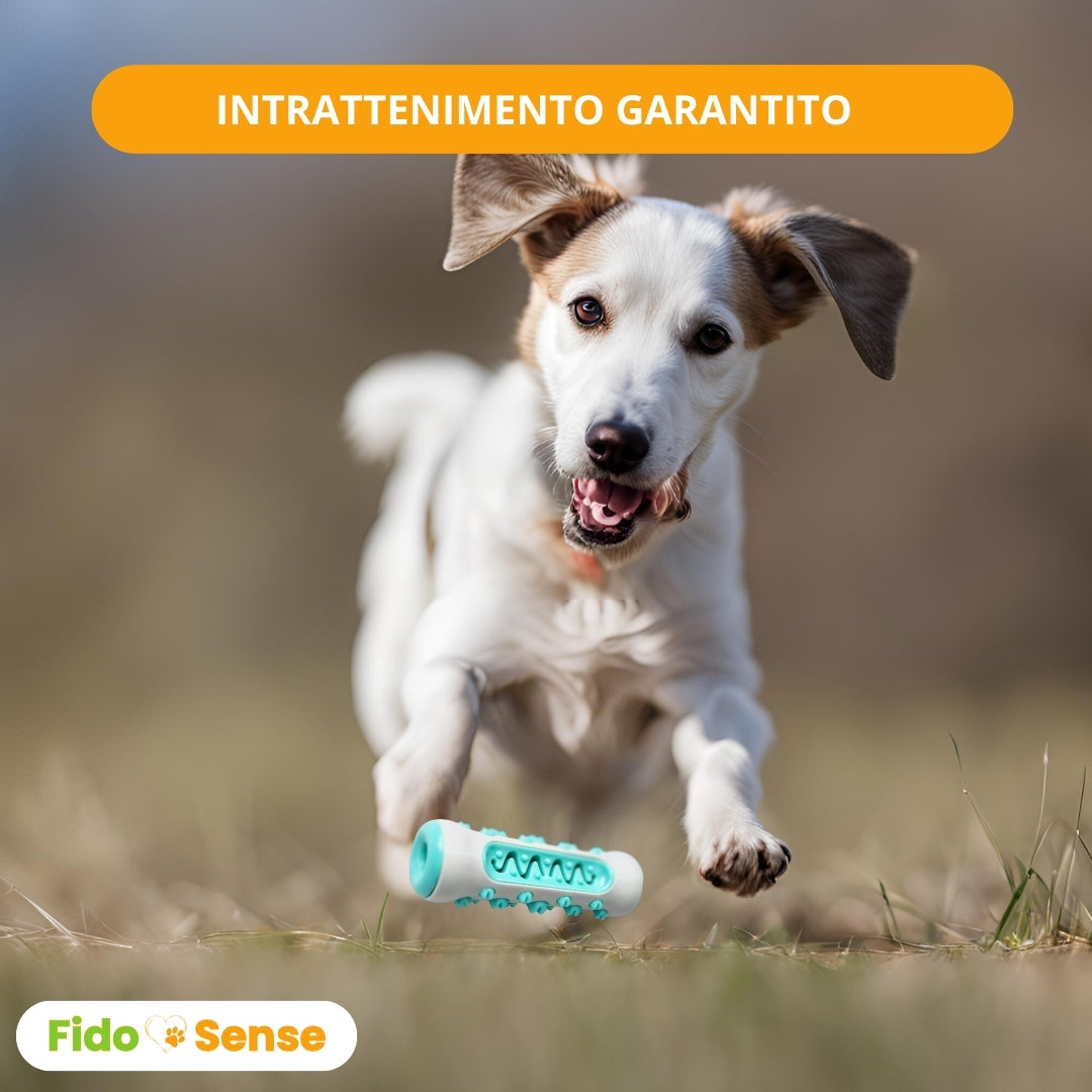 Masty - Gioco da Masticare per Cani